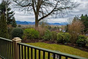 Top 5 Ways a REALTOR in Mission B.C. will Help you Buy your Home 2